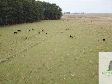 Paso De Los Libres, Corrientes