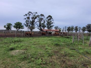 Paso De Los Libres, Corrientes