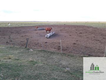 Paso De Los Libres, Corrientes