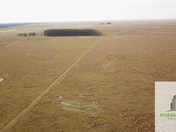 Paso De Los Libres, Corrientes