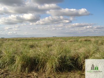 Paso De Los Libres, Corrientes