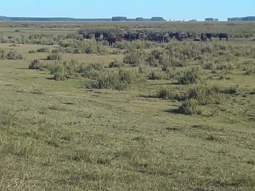 Paso De Los Libres, Corrientes