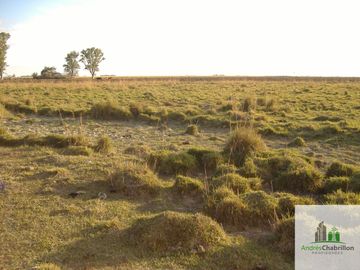 Paso De Los Libres, Corrientes