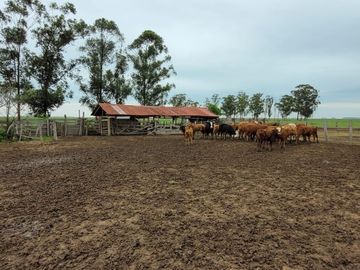 Paso De Los Libres, Corrientes