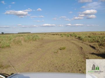Paso De Los Libres, Corrientes