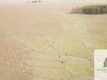 Paso De Los Libres, Corrientes