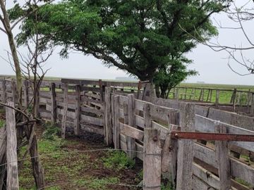 Paso De Los Libres, Corrientes
