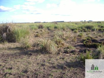 Paso De Los Libres, Corrientes