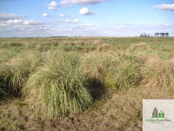 Paso De Los Libres, Corrientes