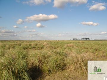Paso De Los Libres, Corrientes