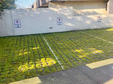 ARRIENDO DIARIO LOFT /DOBLE Y FAMILIAR  LOMAS DE SAN ANDRES