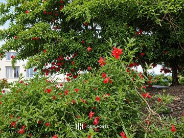 Venta - Departamento - Monoambiente - Pilar - Parrilla - Pileta - Cochera