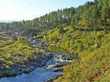Campo en zona Intiyaco Villa Berna Los Reartes en Valle Calamuchita camino a Cumbrecita Sierras de Córdoba