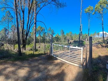 Campo en zona Intiyaco Villa Berna Los Reartes en Valle Calamuchita camino a Cumbrecita Sierras de Córdoba