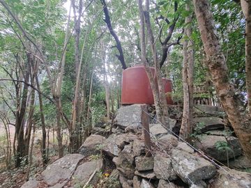 Campo en zona Intiyaco Villa Berna Los Reartes en Valle Calamuchita camino a Cumbrecita Sierras de Córdoba