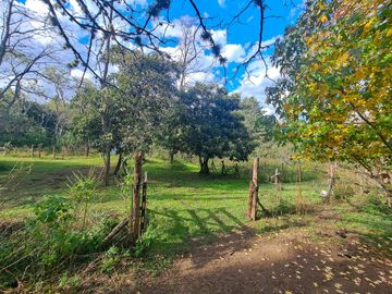 Campo en zona Intiyaco Villa Berna Los Reartes en Valle Calamuchita camino a Cumbrecita Sierras de Córdoba