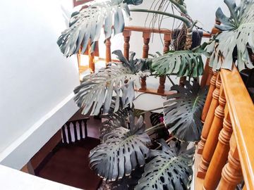 Casa en venta en Fracc. Santa Cruz Gudalupe, Zavaleta con 500m2 de jardín