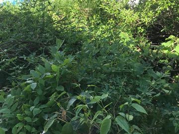 VENTA PH 4 AMBIENTES GENERAL SAN MARTIN