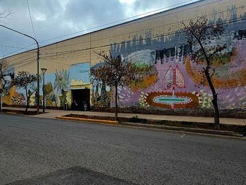 TERRENO AMPLIO CON CASA PARA RECICLAR BUENA NUEVA