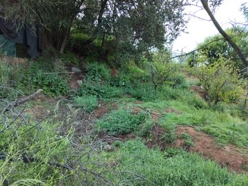 Se vende terreno sector Los Coligues  de Quilpué