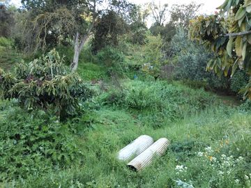Se vende terreno sector Los Coligues  de Quilpué