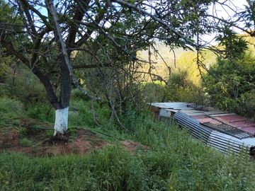 Se vende terreno sector Los Coligues  de Quilpué
