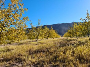 RANCHO AGROPECUARIO EN VENTA EN GENERAL CEPEDA, COAHUILA