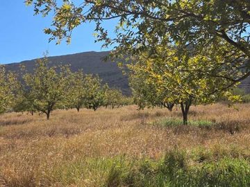 RANCHO AGROPECUARIO EN VENTA EN GENERAL CEPEDA, COAHUILA