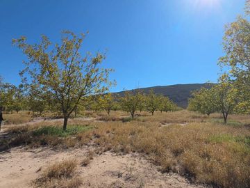 RANCHO AGROPECUARIO EN VENTA EN GENERAL CEPEDA, COAHUILA