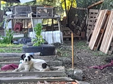 Quinta en venta - 2 Dormitorios 2 Baños - Mar del Plata