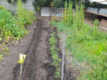 Quinta en venta - 2 Dormitorios 2 Baños - Mar del Plata