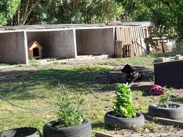 Quinta en venta - 2 Dormitorios 2 Baños - Mar del Plata