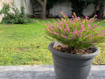 Casa de 4 ambientes y parque, 2 cuadras est.Ezeiza