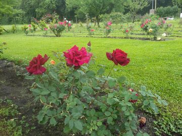 Excelente casa quinta a la venta en Mercedes -Apta credito