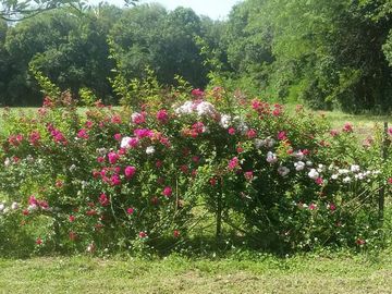 Excelente casa quinta a la venta en Mercedes -Apta credito