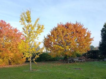 Excelente casa quinta a la venta en Mercedes -Apta credito