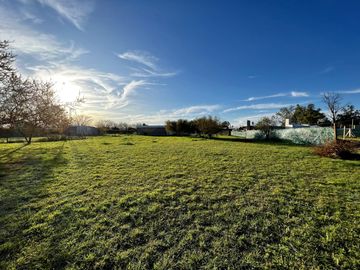 Terreno de 550 m2 en Luis Palacios