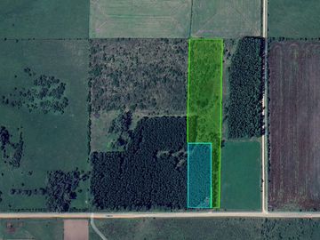 Cabaña con 1 Ha Colonia San Cipriano