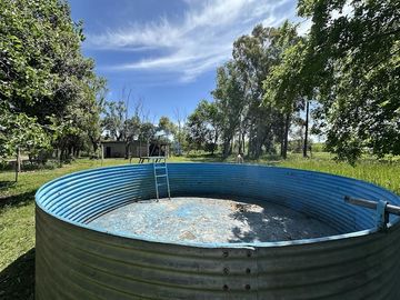 Quinta sobre lote de 10.000m2 en Abasto