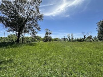 Quinta sobre lote de 10.000m2 en Abasto