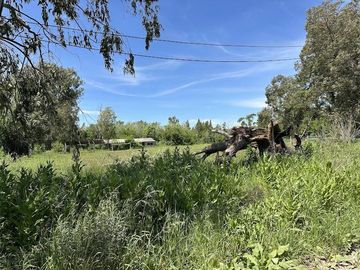 Quinta sobre lote de 10.000m2 en Abasto