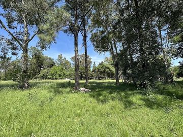 Quinta sobre lote de 10.000m2 en Abasto