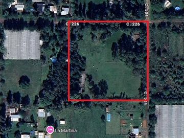 Quinta sobre lote de 10.000m2 en Abasto