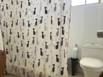 TOMAS MORO CON BILBAO