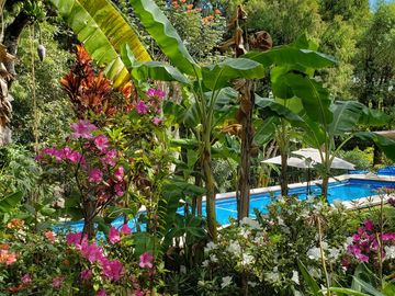 Hoteles en Venta en La Ladrillera