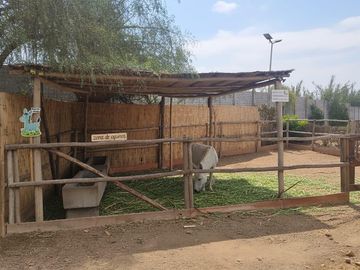 Terreno a la Venta en Lomas de Asia Cañete