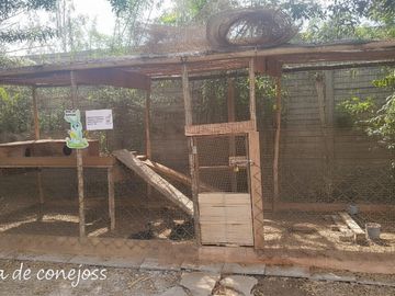 Terreno a la Venta en Lomas de Asia Cañete