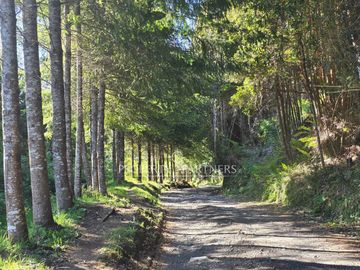 Precioso terreno de 19,4 ha con acceso al lago y vista panorámica al volcán Osorno y el Lago Llanquihue