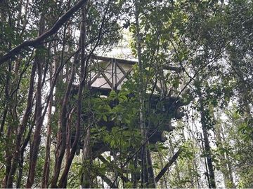 Venta Parcela  Loncotraro