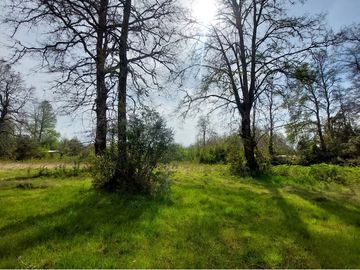 Venta Parcela  Loncotraro